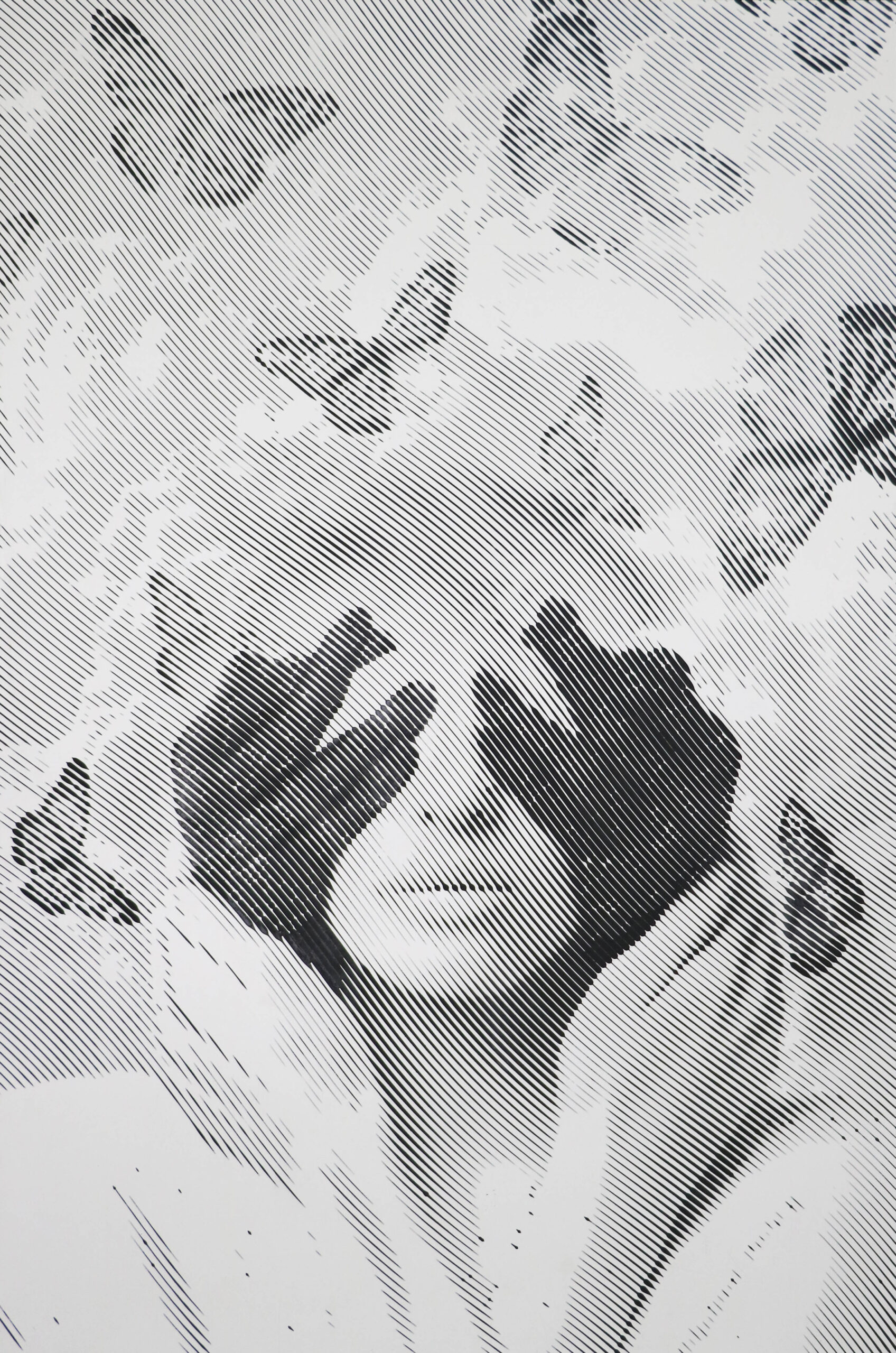 Fly me into the night