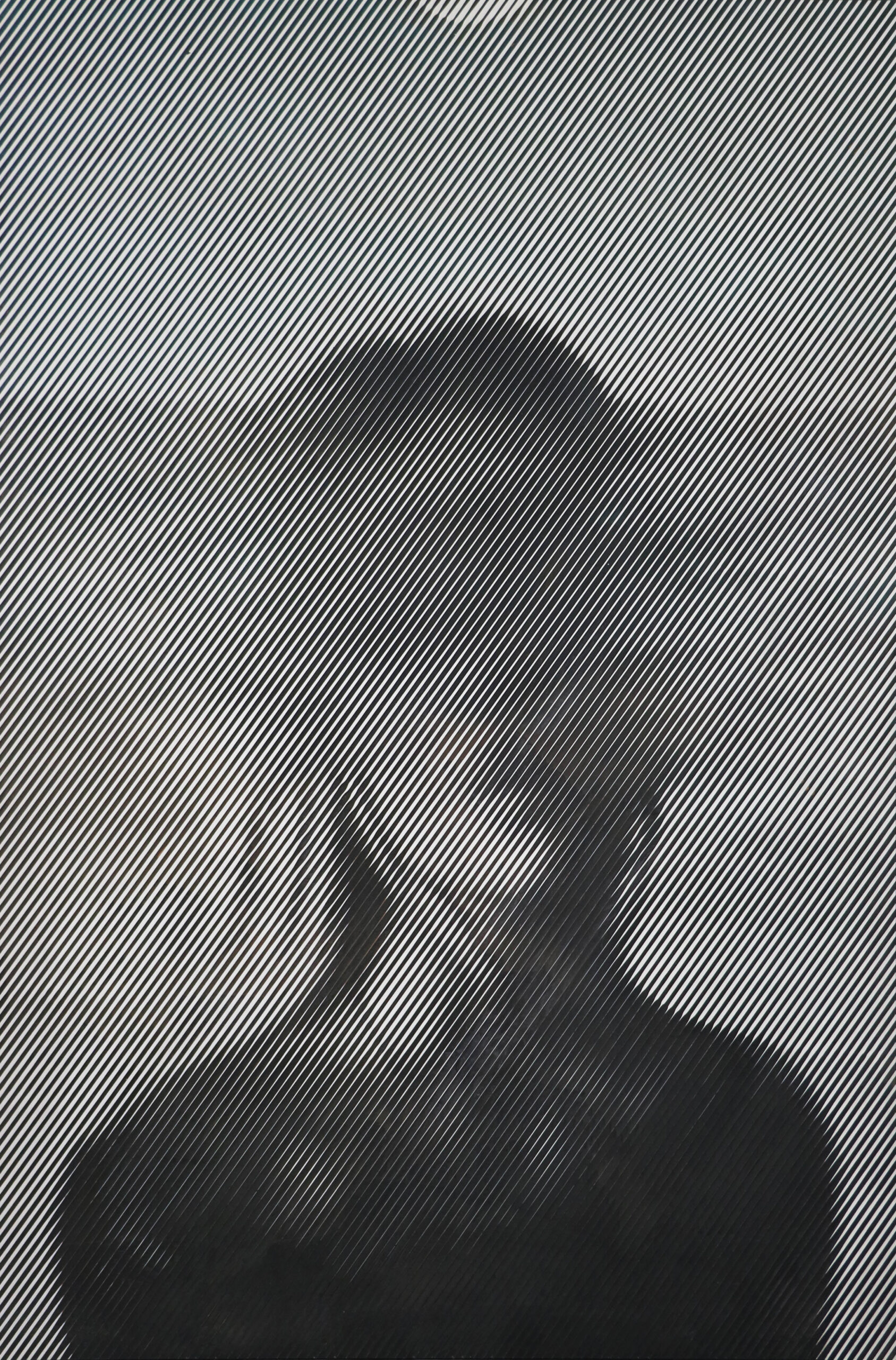 Identity erased