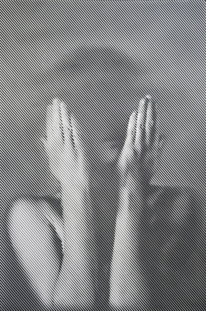 Identity loss IV